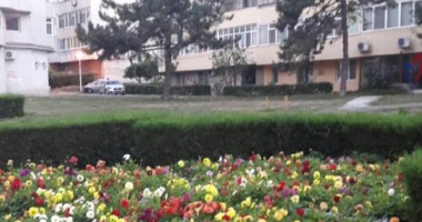 Stire din Social : Fără blocuri turn pe spațiul verde din Tomis II. PUZ-ul a fost anulat definitiv