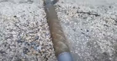 Stire din Actualitate : Bucată de rachetă, gasită pe plajă, lângă Tulcea. FNR: "Este specifică forțelor implicate în războiul ruso-ucrainean"