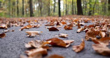 Stire din Social : Vremea se răceşte începând de luni, mai întâi în nord şi apoi şi în restul ţării