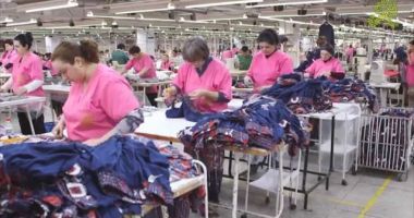 Stire din Economie : Radiografia celor mai importante sectoare ale economiei românești
