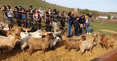 RAEDPP a trimis în excursie 42 de elevi de la Școala "Marin Sorescu" pentru a învăța despre alimentația bio - 2