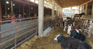 RAEDPP a trimis în excursie 42 de elevi de la Școala "Marin Sorescu" pentru a învăța despre alimentația bio - 3