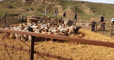 RAEDPP a trimis în excursie 42 de elevi de la Școala "Marin Sorescu" pentru a învăța despre alimentația bio - 5