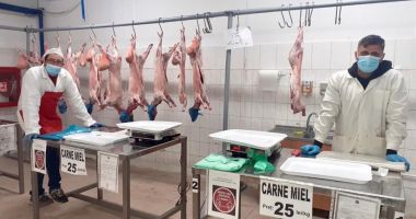 Stire din Social : "Fiți alături de producătorii locali !" Cât costă mieii, în piețele din Constanța