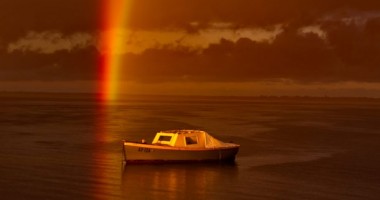 Stire din Actualitate : FOTO Uimitoarea reușită a unui fotograf amator