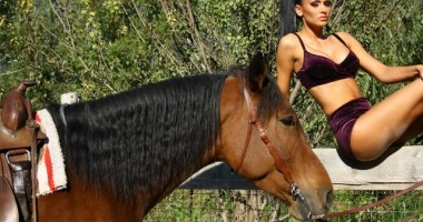 Pictorial senzațional într-o fermă de cai / GALERIE FOTO - 2