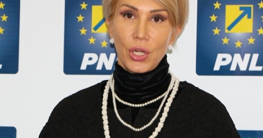 Stire din Politică-Administrație : "Dragnea este responsabilul direct al loviturii PSD privind justiția"