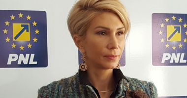 Stire din Politică-Administrație : Raluca Turcan: PNL solicită sprijinirea investitorilor autohtoni
