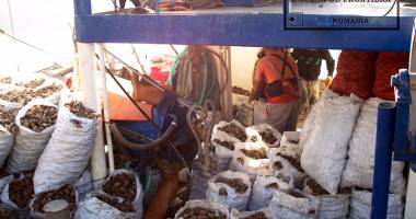 Stire din Eveniment : Tone de rapană, confiscate de ofițerii Gărzii de Coastă
