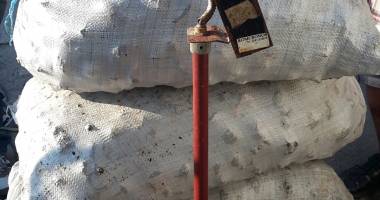 CAPTURĂ IMENSĂ LA CONSTANȚA /  Sute de kilograme de rapană, descoperite de polițiști - 5