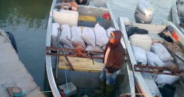 Trei tone de rapane și bărci de 75.000 de euro confiscate - 3
