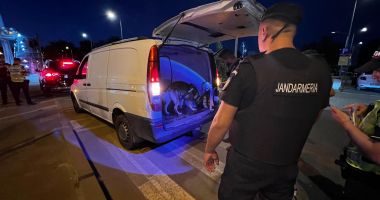 Razie de amploare în stațiunea Mamaia. Zeci de autoturisme au fost controlate de polițiștii - 2