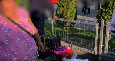 Razie în Piața Tomis III din Constanța. Vizați sunt comercianții ambulanți - 3