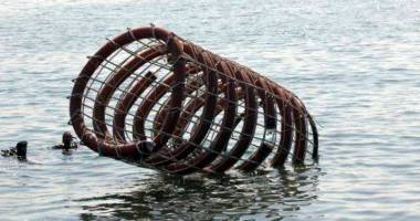 Stire din Social : Recifele artificiale prind viață în Marea Neagră