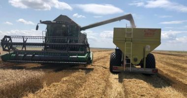 Stire din Economie : Producţia de cereale estimată la 34 de milioane de tone în 2021