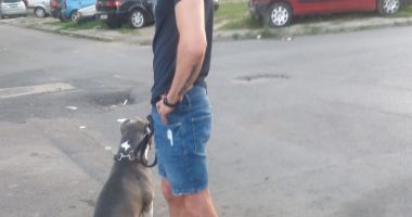 Record de amenzi date de Poliția Locală. Peste 440 de sancțiuni în două zile de week-end - 2