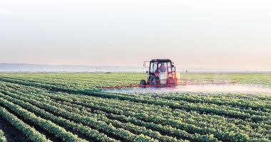 Stire din Economie : Ministrul Adrian Oros: „Decalajele de producţie în agricultura ecologică trebuie să fie reduse la nivelul UE”