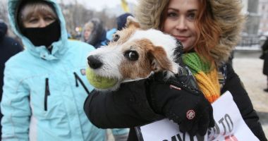 Stire din Actualitate : Refugiații ucraineni nu mai pot intra în România cu animalele de companie fără dovada vaccinării. Vezi de când se aplică