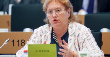 Stire din Politică-Administrație : Renate Weber, demisie din ALDE, după ce a fost aleasă Avocat al Poporului