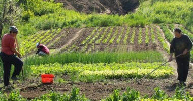 Stire din Economie : Rentierii constănțeni își pot viza carnetele