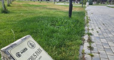 Reportaj în cartierul Campus Universitar. Şantiere, pârloage şi-un tunel verde! - 7