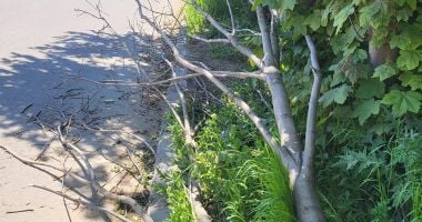 "Case-fantomă", maşini abandonate şi capcane în asfalt. Reportaj pe "Interioarele" Constanţei - 8