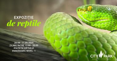 City Park Mall Constanța revine cu două expoziții spectaculoase: fluturi tropicali și reptile exotice - 2