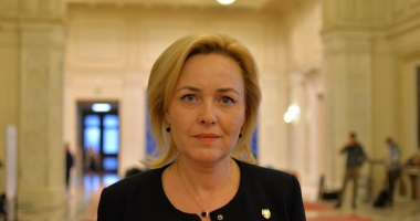 Stire din Politică-Administrație : Carmen Dan: "Grindeanu nu mai funcționează normal, e doar o păpușă"