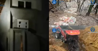 Stire din Eveniment : Şase tone de resturi animale de la două abatoare, aruncate ilegal într-un pârâu