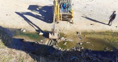 Stire din Actualitate : Aproape o tonă de resturi de animale, descoperite în albia unui râu din Argeș