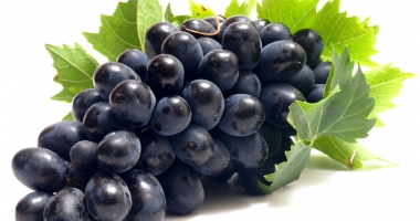 Stire din Sănătate : Resveratrol, cel mai puternic antioxidant al toamnei