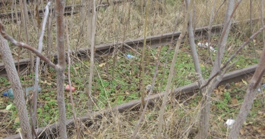 Rețeaua feroviară portuară trebuie trecută în administrarea CNAPMC! - 3