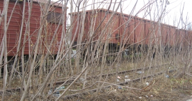 Rețeaua feroviară portuară trebuie trecută în administrarea CNAPMC! - 6