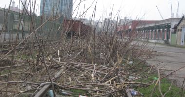 Stire din Economie : Rețeaua feroviară din portul Constanța va fi modernizată  cu finanțare europeană