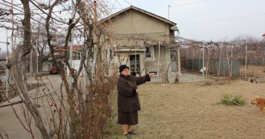 Harababura retrocedărilor în Viile Noi - 3