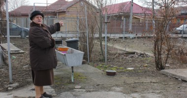 Harababura retrocedărilor în Viile Noi - 2