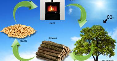 Stire din Economie : Reuniune dedicată bioenergiei și biomasei
