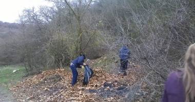 Stire din Cultură-Educație : Rezervația Fântânița, ecologizată de liceenii din Murfatlar