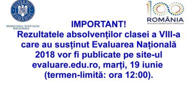 EVALUARE NAȚIONALĂ 2018. Unde vor fi publicate rezultatele - 2