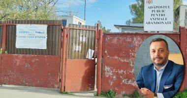 Stire din Social : Dispar maidanezii? Viceprimarul Ionuţ Rusu: "Vrem să construim un adăpost pentru câini cu 500 de locuri"
