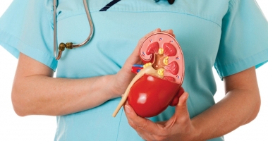 Stire din Sănătate : MEDIC DIN CONSTANȚA, PREȘEDINTELE SOCIETĂȚII ROMÂNE DE NEFROLOGIE