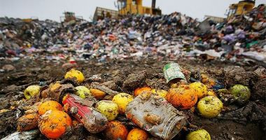 Stire din Social : Proiectul privind diminuarea risipei alimentare, adoptat