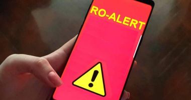 Stire din Eveniment : Un cetăţean a anunţat la 112 că a văzut un LEU, LIBER PE STRADĂ. A fost emis mesaj RO-ALERT