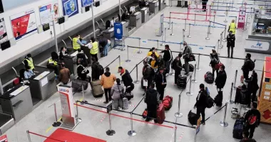 Stire din Social : Val de întoarceri în România. Tot mai multe familii aleg să revină acasă