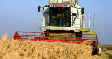 Stire din Economie : România urcă în topurile agricole europene