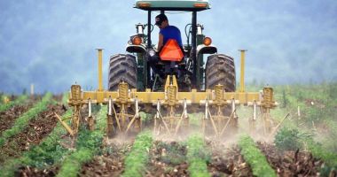 Stire din Economie : România a primit banii pentru subvențiile fermierilor