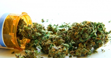 Stire din Eveniment : Controversa cannabis! De ce trag constănțenii "iarbă"