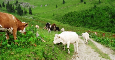 Stire din Economie : România se confruntă  cu două amenințări foarte grave