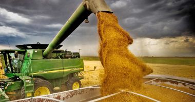 Stire din Economie : România este liderul absolut al vânzărilor din UE la grâu şi orz