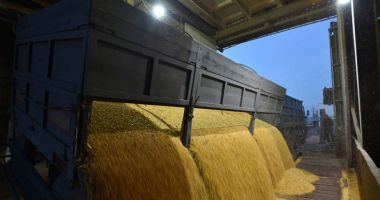 Stire din Economie : România a încasat peste 507 milioane de euro din exportul de grâu